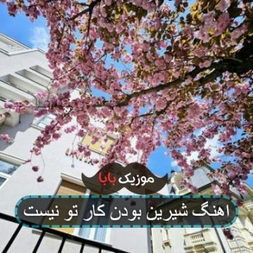 اهنگ شیرین بودن کار تو نیست