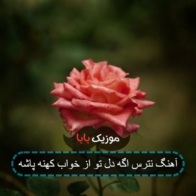 آهنگ میوه ممنوعه محمد اصفهانی