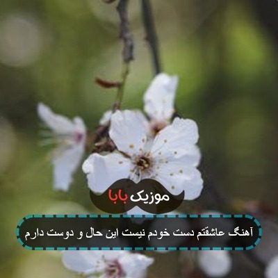 آهنگ عاشقتم دست خودم نیست