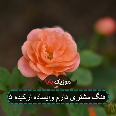 اهنگ مشتری دارم وایساده ارکیده ۵