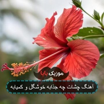 آهنگ چشات چه جذابه خوشگل و کمیابه