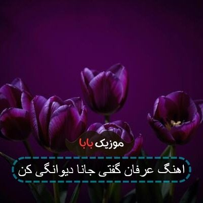 اهنگ عرفان گفتی جانا دیوانگی کن