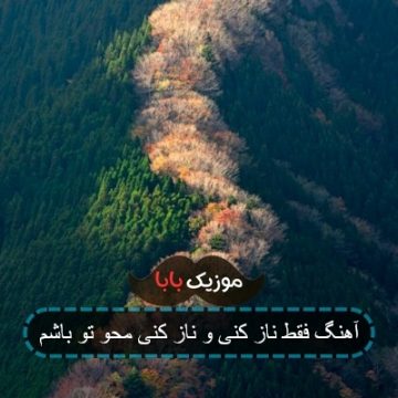آهنگ فقط ناز کنی و ناز کنی محو تو باشم