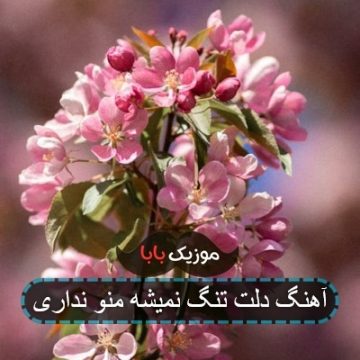 آهنگ چطور دلت تنگ نمیشه وقتی منو نداری آهنگ چطور دلت تنگ نمیشه وقتی منو نداری