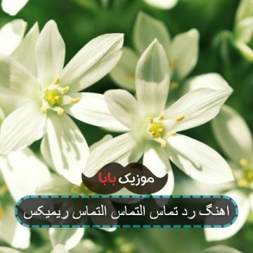 اهنگ هی تماسو رد تماس و التماس اهنگ هی تماسو رد تماس و التماس