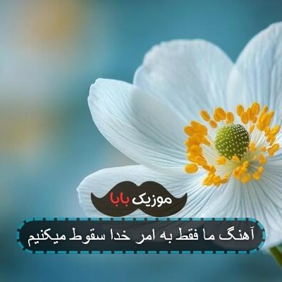 آهنگ تاریخ از سربازان یاد نمیکند
