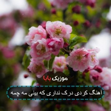 آهنگ کردی درک نداری که بینی مه چمه
