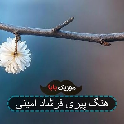 اهنگ پیری فرشاد امینی