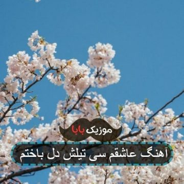 آهنگ عاشقم سی تیلش دل باختم