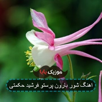 اهنگ شور بارون پرستو فرشید حکمتی