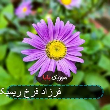 آهنگ پلاک ۱۳ فرزاد فرخ ریمیکس