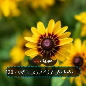 آهنگ کمک کن فرزاد فرزین با کیفیت 320
