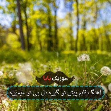 آهنگ قلبم پیش تو گیره دل بی تو میمیره