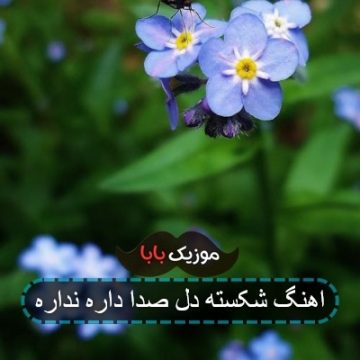 اهنگ شکسته دل صدا داره نداره
