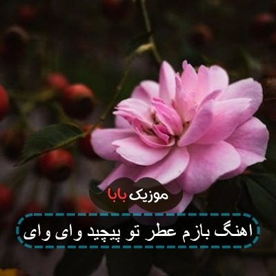 اهنگ بازم عطر تو پیچید وای وای اهنگ بازم عطر تو پیچید وای وای