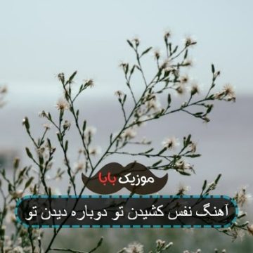 آهنگ نفس کشیدن تو دوباره دیدن تو