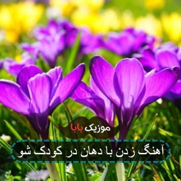 آهنگ زدن با دهان در کودک شو