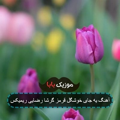 آهنگ یه جای خوشگل قرمز گرشا رضایی ریمیکس آهنگ یه جای خوشگل قرمز گرشا رضایی ریمیکس