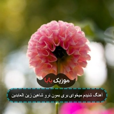 آهنگ شنیدم میخوای بری بمون نرو شاهین زین العابدین