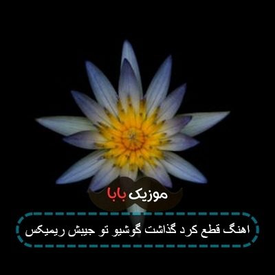 اهنگ قطع کرد گذاشت گوشیو تو جیبش ریمیکس
