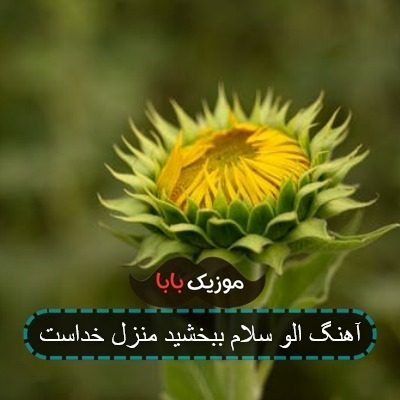 آهنگ الو سلام ببخشید منزل خداست