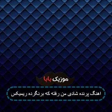 اهنگ پرنده شادی من رفته که برنگرده ریمیکس