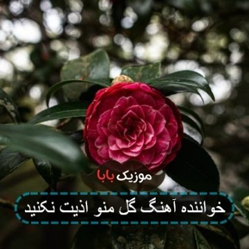 آهنگ گل منو اذیت نکنید