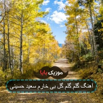 آهنگ گلم گلم گل بی خارم سعید حسینی آهنگ گلم گلم گل بی خارم سعید حسینی