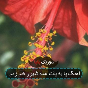 آهنگ قدم قدم پا به پات همه شهرو قدم زدم