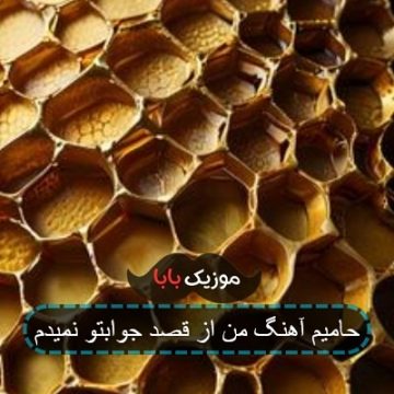 حامیم آهنگ من از قصد جوابتو نمیدم
