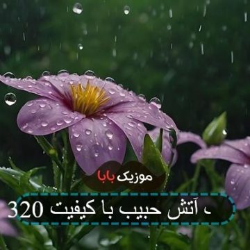 آهنگ حبیب چون دوستی سنگدلان زود برفتی