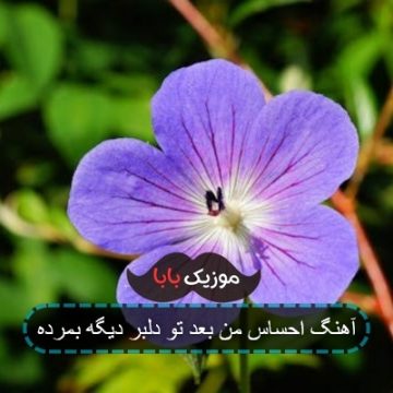 اهنگ نرم نرم وارش ته بوردن بوردن مه هارش هارش