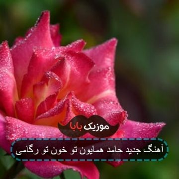 آهنگ جدید حامد همایون تو خون تو رگامی