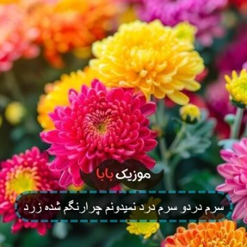 سرم دردو سرم درد نمیدونم چرارنگم شده زرد سرم دردو سرم درد نمیدونم چرارنگم شده زرد