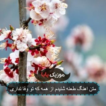 آهنگ طعنه شنیدم از همه که تو وفا نداری