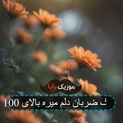 آهنگ ضربان دلم میره بالای 100 آهنگ ضربان دلم میره بالای 100