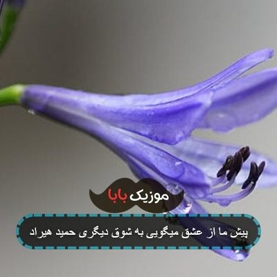 پیش ما از عشق میگویی به شوق دیگری حمید هیراد