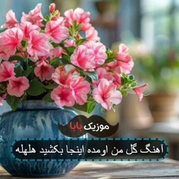 آهنگ گل من اومده اینجا بکشید هلهله