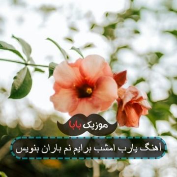 آهنگ یارب امشب برایم نم باران بنویس