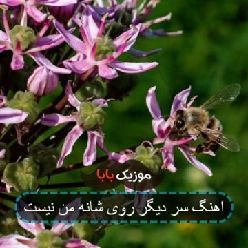 اهنگ سر دیگر روی شانه من نیست