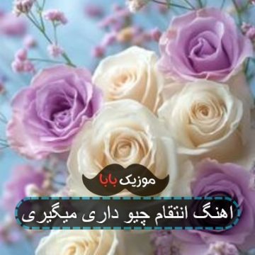 اهنگ انتقام چیو داری میگیری