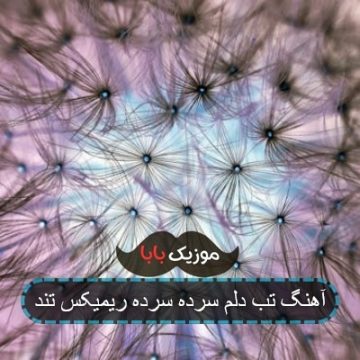 آهنگ تب دلم سرده سرده ریمیکس تند