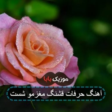 اهنگ حرفات قشنگ مغزمو شست دشی