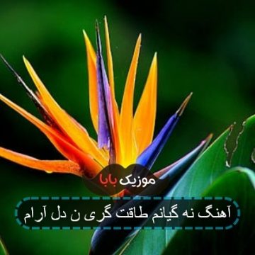 آهنگ نه گیانم طاقت گری ن دل آرام