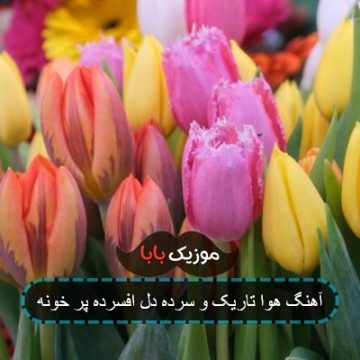 آهنگ هوا تاریک و سرده دل افسرده پر خونه آهنگ هوا تاریک و سرده دل افسرده پر خونه