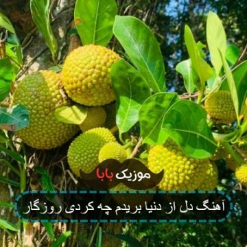 آهنگ دل از دنیا بریدم چه کردی روزگار