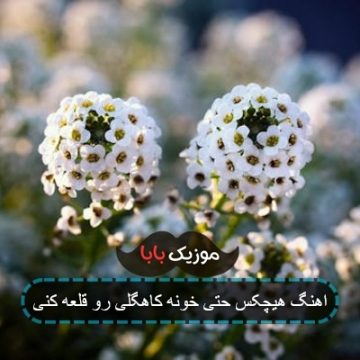 اهنگ هیچکس حتی خونه کاهگلی رو قلعه کنی اهنگ هیچکس حتی خونه کاهگلی رو قلعه کنی
