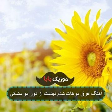 آهنگ غرق موهات شدم دیدمت از دور مو مشکی
