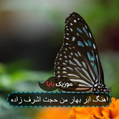 اهنگ ابر بهار من حجت اشرف زاده