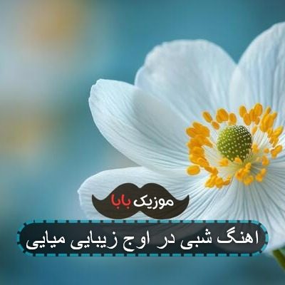 اهنگ شبی در اوج زیبایی میایی